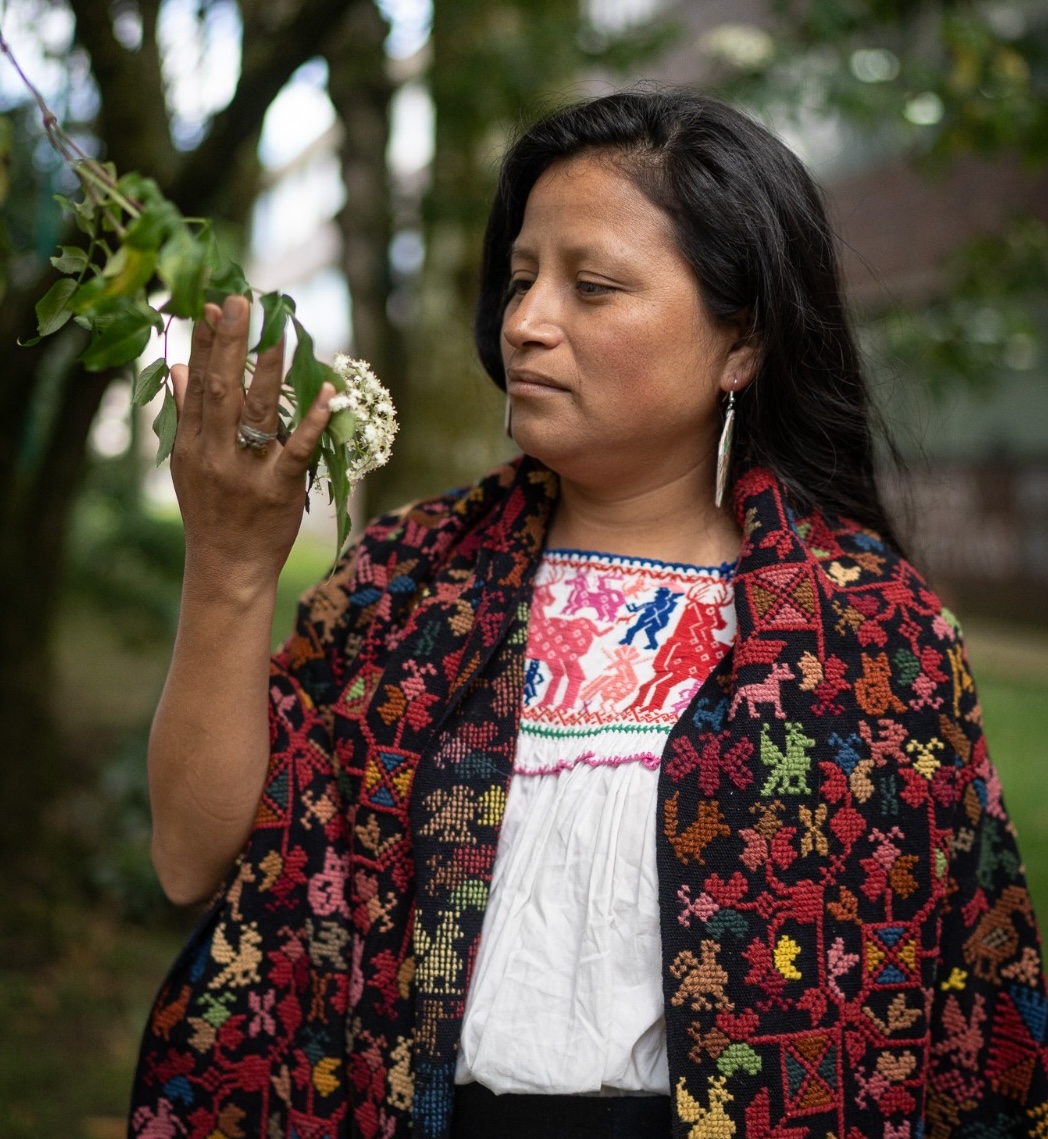 Artesana, Feminista Comunitaria Mahseual de Hueyapan, Puebla. Fundadora y representante de la Cooperativa Chiwik Tajsal. Integrante del Grupo de Investigación Acción Socio Ecológica GIASE y del grupo de trabajo “Cuerpos, Territorios y Feminismos”. Asesora en la Maestría en Agroecología, Territorio y Soberanía Alimentaria. Con formación en Licenciatura en Desarrollo Rural; Maestría en Educación para la Interculturalidad y la Sustentabilidad; Maestría en Prácticas Narrativas en la Educación y el trabajo Comunitario. Antidoctorado en pedagogía del sujeto; y candidata a doctora en desarrollo rural.