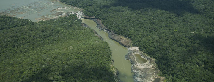 #DestellosDelAmazonas