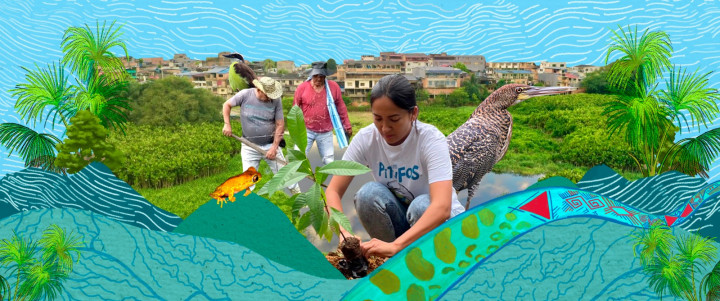 Conflictos y cuidados de los humedales tras la expansión urbana de Puerto Asís