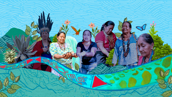 Relato 2.  El espíritu de las plantas que producen agua