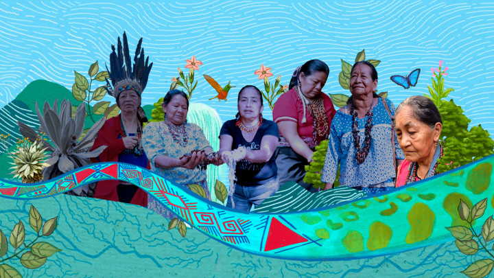 Relato 6. Cuidadora del espíritu del yagé