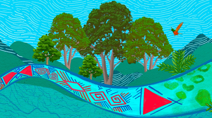 Pino colombiano, guardián del agua