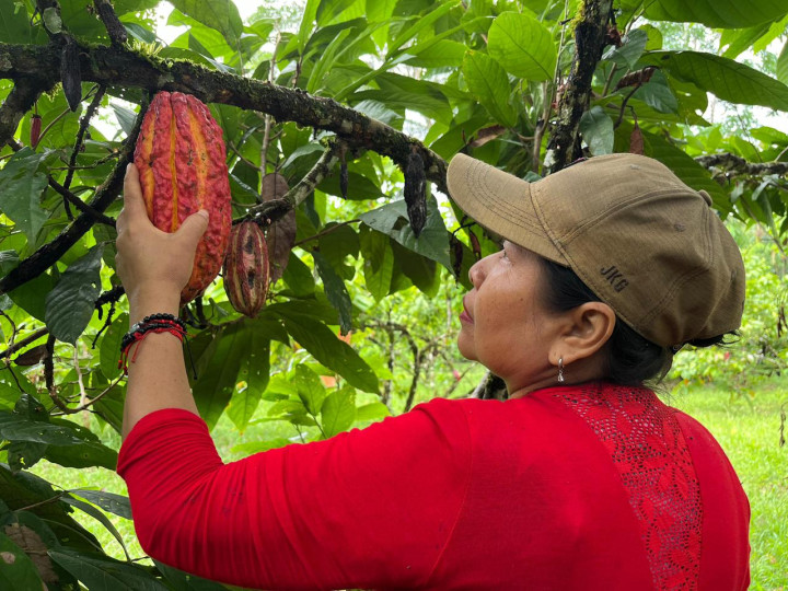 Semillas de resistencia: el tejido de sanación de las mujeres Zio Bain