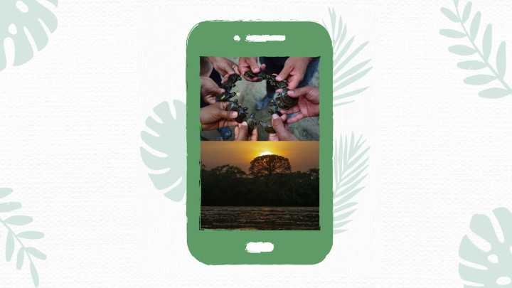 De relatos periodísticos a 'reels' de impacto