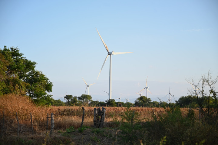 Las defensoras del viento en el Istmo de Tehuantepec